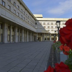 Гостиница Даниловская, Москва, Московская область