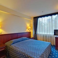 Отель Аэрополис, Москва, Московская область