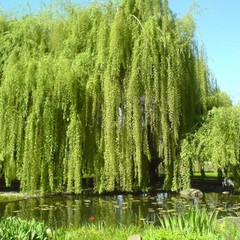 Гостиница Даниловская, Москва, Московская область