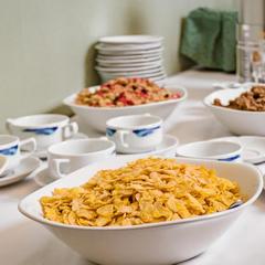 Гостиница Будапешт, Москва, Московская область