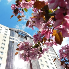 Гостиница Орехово, Москва, Московская область