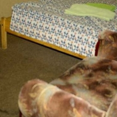 Мини-гостиница Два льва, Москва, Московская область