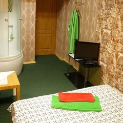 Мини-гостиница Два льва, Москва, Московская область