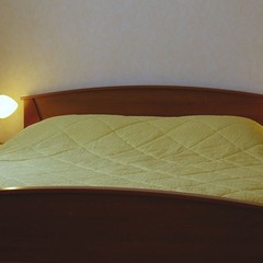 Гостиница Державный, Москва, Московская область