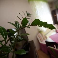 Отель Вояж Парк, Москва, Московская область