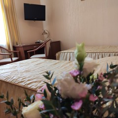 Гостиница Державный, Москва, Московская область