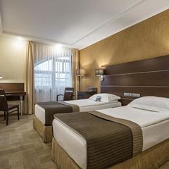 Отель Парк Инн от Рэдиссон Саду, Москва, Московская область