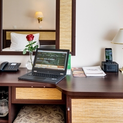 Отель и Конгресс-центр Вега Измайлово, Москва, Московская область