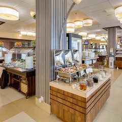 Отель и Конгресс-центр Вега Измайлово, Москва, Московская область