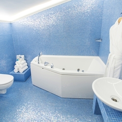 Отель Blues, Москва, Московская область