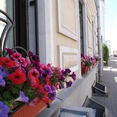 Отель Сверчков 8, Москва, Московская область