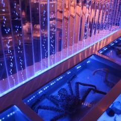 Гостиница Лангуст, Москва, Московская область