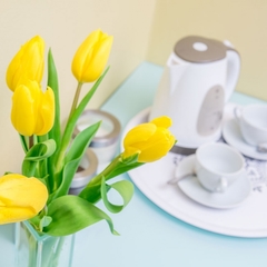 Гостиница Измайловский, Москва, Московская область