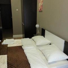 Апарт-отель Дом на Маяковке, Москва, Московская область