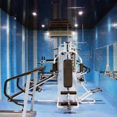 Отель Роял-Зенит II, Москва, Московская область