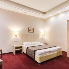 Отель Леон Спа, Москва, Московская область