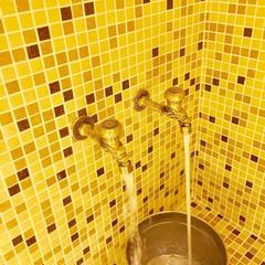 Отель Леон Спа, Москва, Московская область