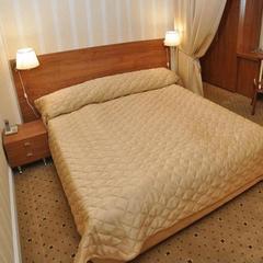 Отель Макс, Москва, Московская область