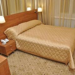 Отель Макс, Москва, Московская область