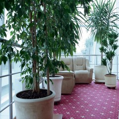 Гостиница Мирит, Москва, Московская область