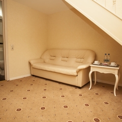 Отель Пушкин, Москва, Московская область