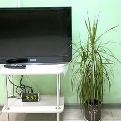 Хостел Эрэл, Москва, Московская область