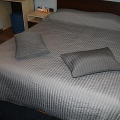 Отель Афиша Сити, Москва, Московская область