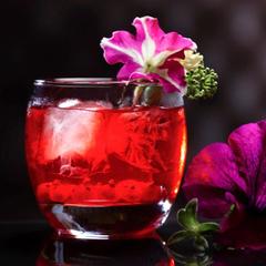 Отель Меркюр Москва Павелецкая, Москва, Московская область