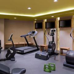 Отель Меркюр Москва Павелецкая, Москва, Московская область