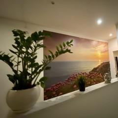 Отель Сити Комфорт, Москва, Московская область