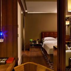 Отель Арарат Парк Хаятт, Москва, Московская область