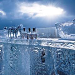 Отель Арарат Парк Хаятт, Москва, Московская область