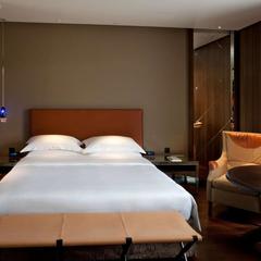 Отель Арарат Парк Хаятт, Москва, Московская область