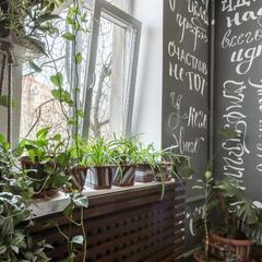 Отель Ананас, Москва, Московская область