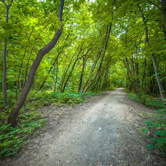 Гостиница Рослеспром, Москва, Московская область