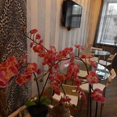 Отель Калифорния, Москва, Московская область