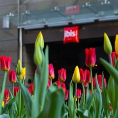 Отель Ибис Москва Центр Бахрушина, Москва, Московская область