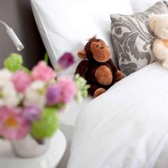 Отель Меркюр Арбат Москва, Москва, Московская область