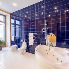 Отель Исторический отель Советский, Москва, Московская область