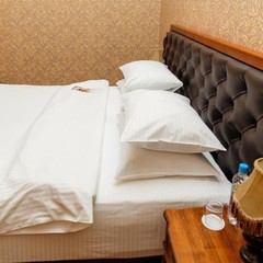 Отель Исторический отель Советский, Москва, Московская область