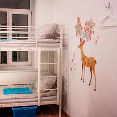 Хостел Абрикос, Москва, Московская область