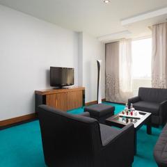 Отель Radisson Blu Belorusskaya, Москва, Московская область