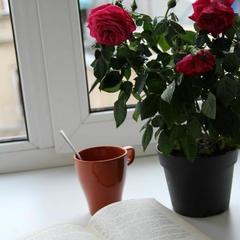 Хостел Абрикос, Москва, Московская область