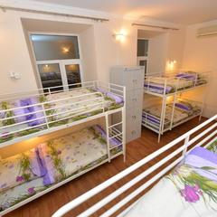 Хостел Абрикос, Москва, Московская область