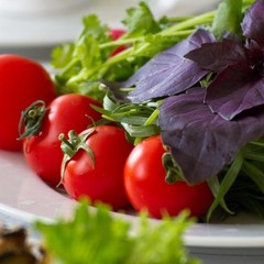 Гостиница Русь, Москва, Московская область