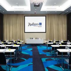 Отель Radisson Blu Belorusskaya, Москва, Московская область