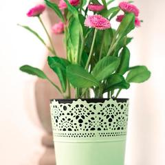 Хостел Город Патриаршие, Москва, Московская область