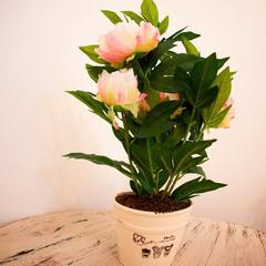 Хостел Город Патриаршие, Москва, Московская область