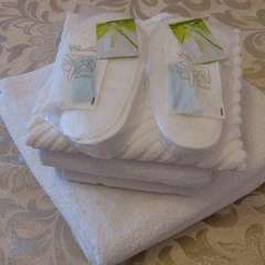 Гостиница Александрия-Внуково, Москва, Московская область