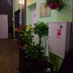 Хостел Гай-дай, Москва, Московская область